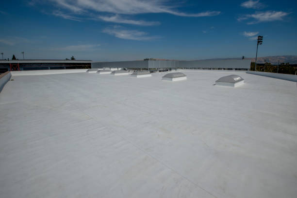 Best Roof Maintenance and Cleaning  in Palmer Lake, CO